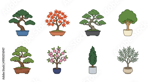 Collection of various potted bonsai and ornamental trees illustration.