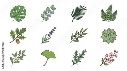 Diverse collection of green leaves and botanical elements representing various plant species.