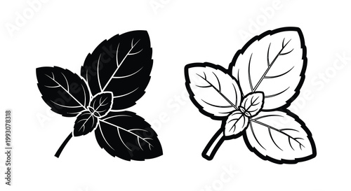 Two basil leaves in a striking black outline silhouette