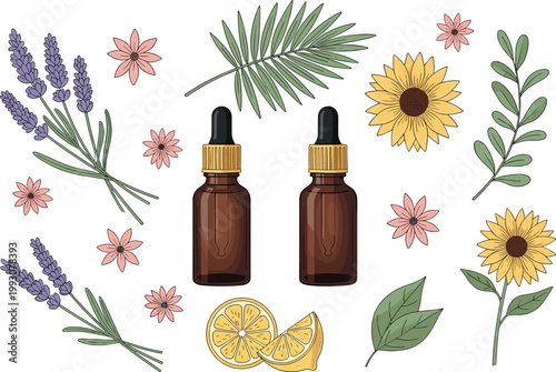 Essential oil bottles with herbs flowers and citrus set natural aromatherapy wellness botanical vector illustration