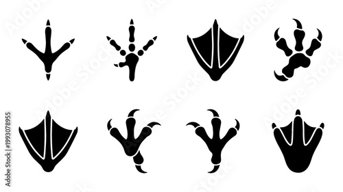 Konstfotografi Bird footprint icons set, black animal paw print silhouettes, collection of 8 wa