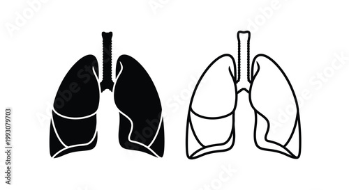 Anatomical illustration of human lungs in contrasting styles silhouette