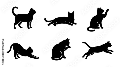 Foto Black cat silhouette collection, set of 6 feline vector icons in various poses,