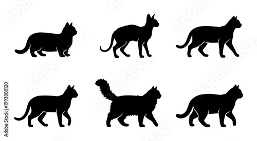 Vászonkép Black cat silhouettes collection, set of 6 domestic feline breed vector icons, s
