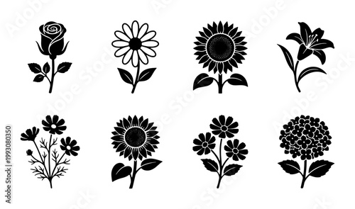 Minimalist black flower icons set, floral vector silhouettes of rose daisy sunflower and lily, 8 botanical garden plant elements for logo design