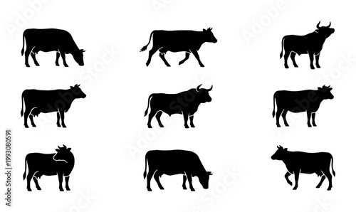 Cow silhouette vector set, black cattle and bull icons collection, farm animal livestock shapes for agriculture branding and dairy industry design