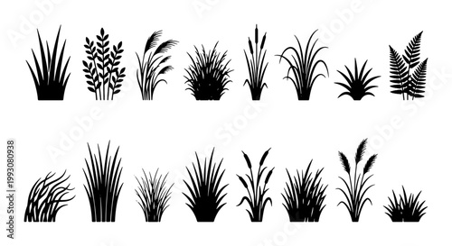 Black grass silhouettes set, botanical plant icons collection with 16 vector elements, wild meadow weeds and swamp reed shapes for landscape design