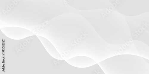 Curtain white wave soft shadow and blurred. frabic shapes curve designs. abstract backround on isolated. Vector Modern