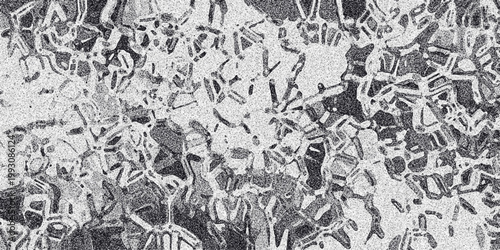 Complex abstract organic interconnected pattern with a granular texture in grayscale, suitable for scientific or artistic backgrounds and intricate design elements