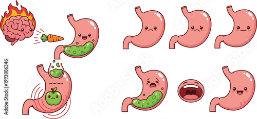 Cute Cartoon Stomach Digestive Health and Disease Vector Illustration Set Featuring Acid Reflux Bacteria Nausea Pain Hungry and Happy Expressions for Medical Education Design