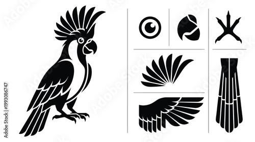 Majestic cockatoo bird vector illustration set featuring cockatoo body head with large crest beak eye wing and tail icons isolated