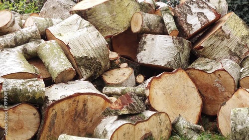 Unsplit firewood being thrown onto woodpile