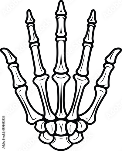 Detailed skeleton hand bones outlined for anatomical or spooky Halloween illustrations