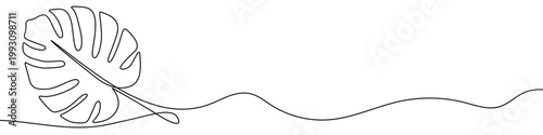 Illustration of a tropical monstera deliciosa leaf, made in one continuous line. Minimalist exotic plant and nature decoration drawing with a black stroke on a white background, vector illustration.