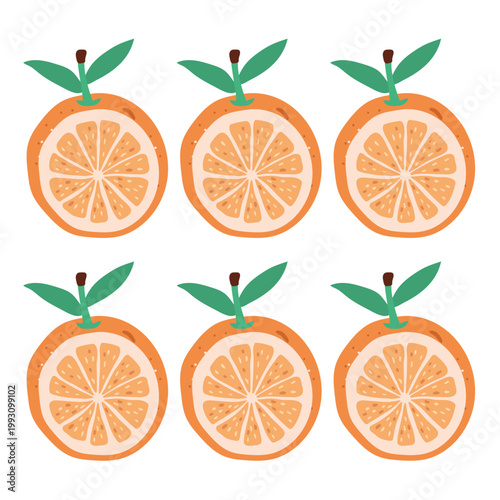 Sliced orange citrus fruit cross section illustrations