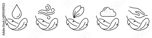 Fotografía Set of minimalist icons featuring a feather with various natural elements