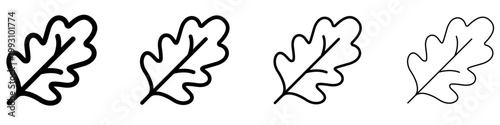 Set of oak leaf icons. Graphic elements with different line weights, symbolizing the oak tree, forest, nature, and endurance. Vector illustration.
