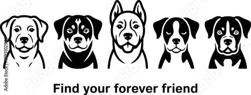 Collection of five distinct black and white dog portraits with a friendly text message below