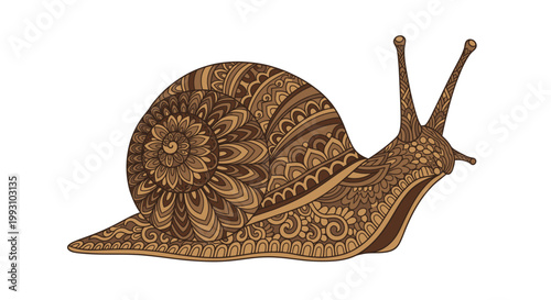 Decorative mandala snail with intricate zentangle patterns isolated on white background