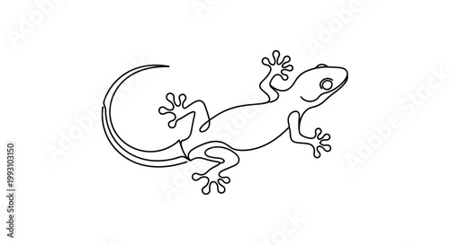 Minimalist continuous line drawing of a gecko lizard vector