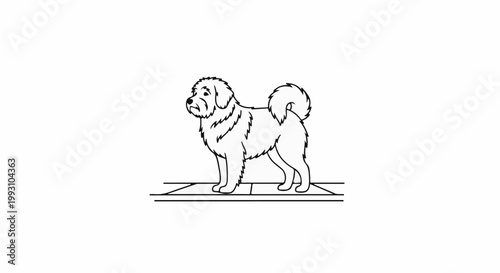 A stylized line drawing of a fluffy dog with a curled tail stands on a tiled floor