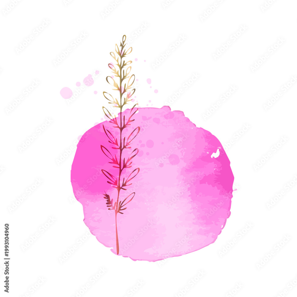 Fototapeta premium Modern botanical stem with gold line art, pink watercolor background, minimal luxury design for branding, packaging, wall art, beauty and wellness visuals