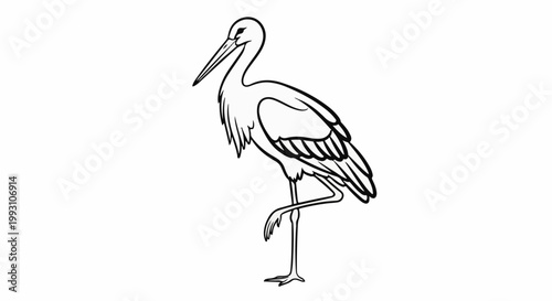Line art of a stork standing on one leg, with wings tucked