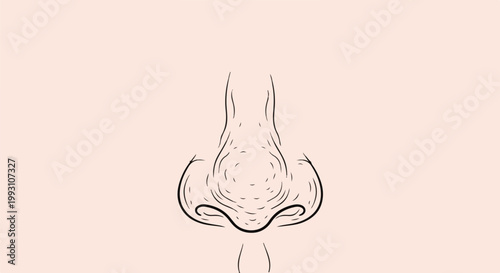 Minimalist line drawing of a human nose on a pale background
