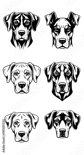 Dogs Great Dane head illustration set with six black and white portraits featuring dog heads, canine, animals with pet and pets elements for dog