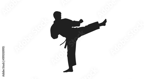 Silhouette of man kicking high.