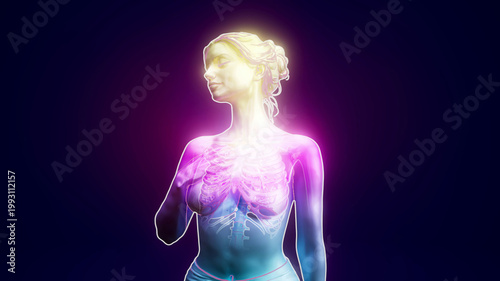 Tableau sur toile Conceptual 3D illustration of a woman holding her chest with visible lungs