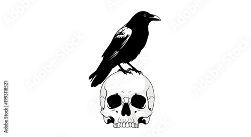 Black Crow Perched on Skull.