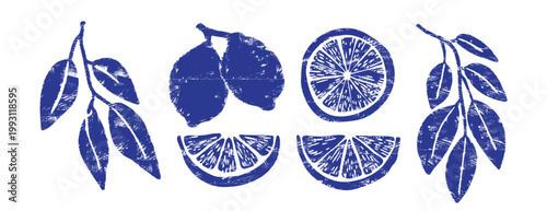 Blue Mediterranean lemon set. Hand-drawn linocut citrus branches, fruit and slices. Italian woodcut style for summer branding, packaging and kitchen labels. Vector indigo ink illustration