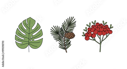 Tropical leaves and red flowers.