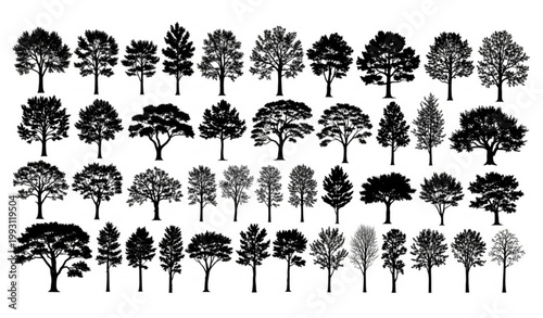 Silhouette tree set vector design with detailed forest trees collection isolated on white