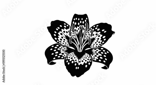 Detailed black and white illustration of a spotted lily bloom