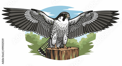 Detailed cartoon illustration of a Peregrine Falcon with wings spread wide, perched on a wooden stump