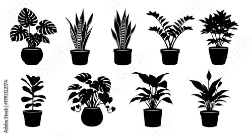 Collection of potted houseplant silhouettes, various indoor greenery elements