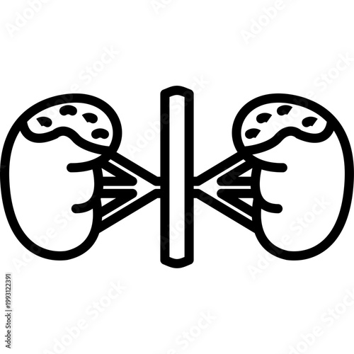 Adrenal Glands Vector Icon