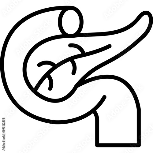 Pancreas Vector Icon