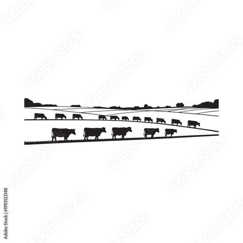 Silhouette of a herd of cows grazing on a rolling hillside