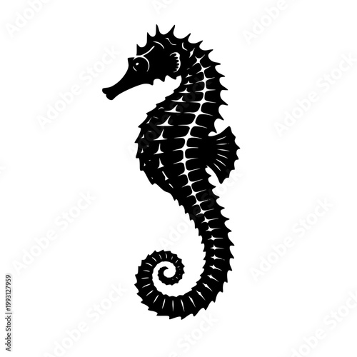 Detailed Silhouette of a Seahorse