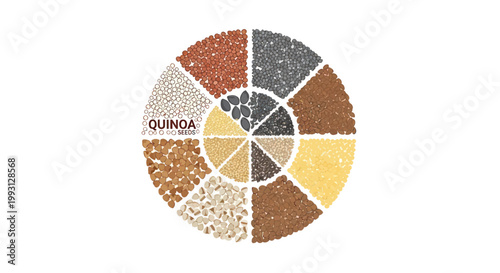 Variety of quinoa grain types.