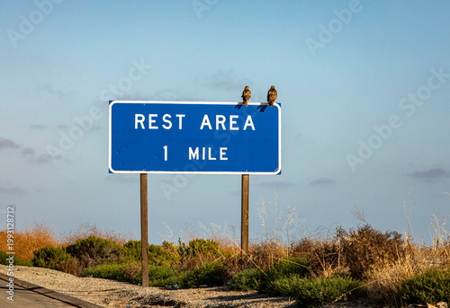 Two hawks sitting on a sign that states Rest Area 1 Mile