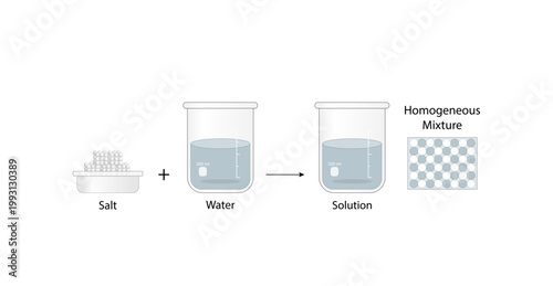 Homogeneous mixture, uniform composition, salt and water. Solubility, solute and solvent. Chemistry experiment. Scientific design. Vector illustration.