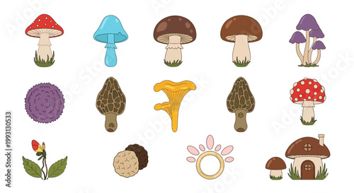 Colorful Vector Mushroom Set with Fantasy Fungi, Toadstools, and Mushroom House Illustration