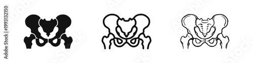 Human pelvis bone icon set. Hip joint medical symbols. Anatomy skeletal part.