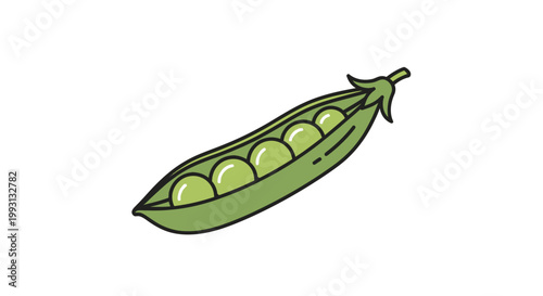 Fresh green pea pod illustration isolated on white