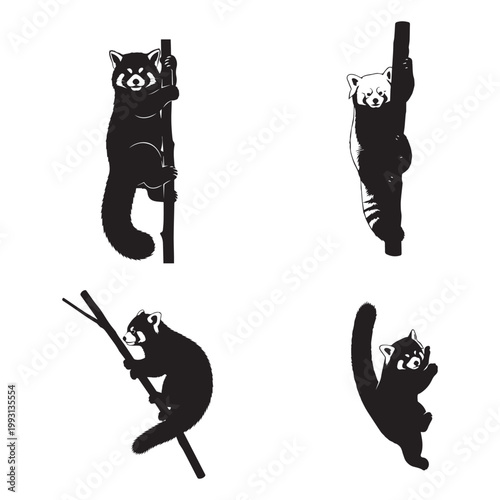 Red panda climbing on tree branch silhouette vector isolated on white