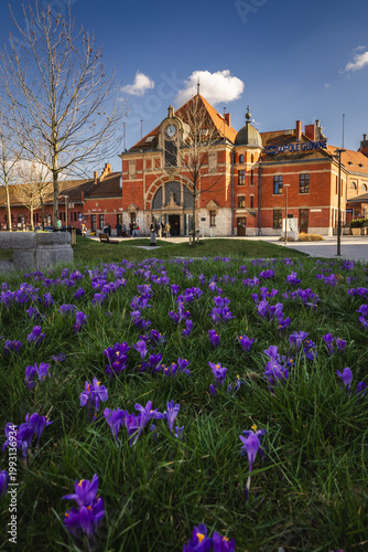 Schilderij op canvas Scenic spring view of the historic Opole Główne railway station in Poland, featuring vibrant purple crocus flowers blooming in the foreground